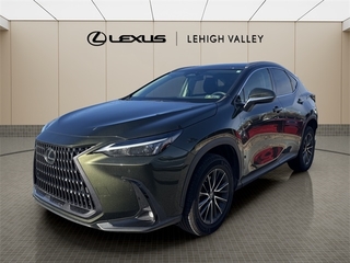 2023 Lexus NX 350 for sale in Allentown PA