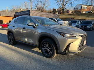 2023 Lexus NX 350 for sale in Roanoke VA