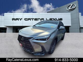 2024 Lexus NX 350