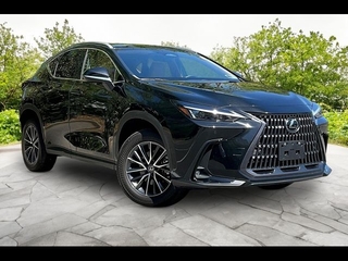 2024 Lexus NX 350 for sale in Freehold NJ