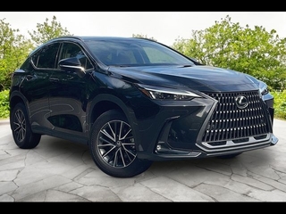 2024 Lexus NX 350 for sale in Freehold NJ