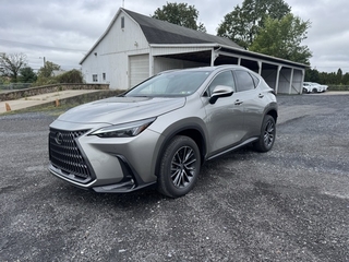 2025 Lexus NX 350 for sale in Allentown PA