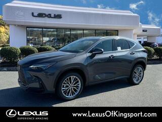 2025 Lexus NX 350 for sale in Kingsport TN