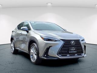 2025 Lexus NX 350 for sale in Freehold NJ