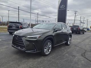 2025 Lexus NX 350 for sale in Toledo OH