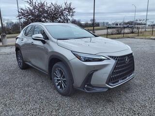 2025 Lexus NX 350 for sale in Brentwood TN