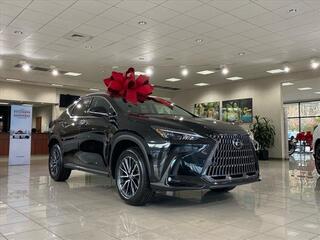 2025 Lexus NX 350 for sale in Virginia Beach VA