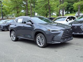 2025 Lexus NX 350 for sale in Durham NC