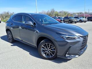 2025 Lexus NX 350 for sale in Roanoke VA