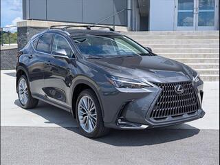2025 Lexus NX 350 for sale in Chattanooga TN