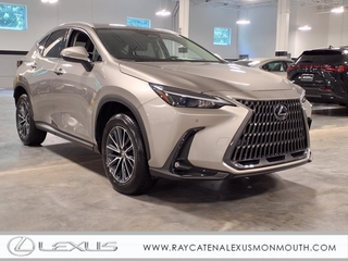 2025 Lexus NX 350 for sale in Oakhurst NJ