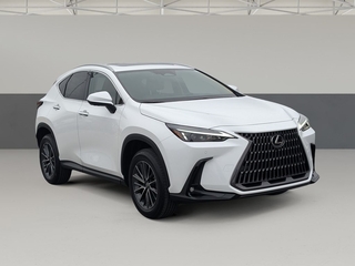 2026 Lexus NX 350 for sale in Chattanooga TN