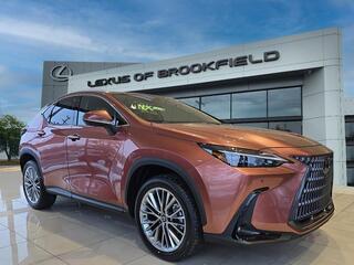 2026 Lexus NX 350 for sale in Brookfield WI