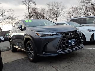2023 Lexus NX 350 for sale in Little Falls NJ