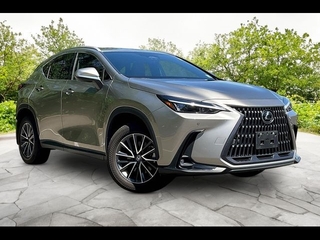 2023 Lexus NX 350 for sale in Freehold NJ