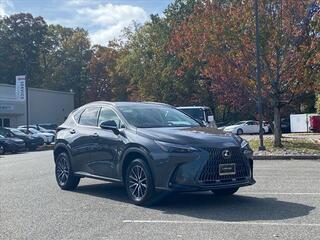 2024 Lexus NX 350 for sale in Virginia Beach VA