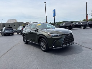 2024 Lexus NX 350 for sale in Knoxville TN