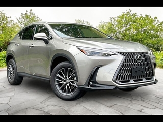 2024 Lexus NX 350 for sale in Freehold NJ