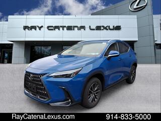 2025 Lexus NX 350 for sale in Larchmont NY