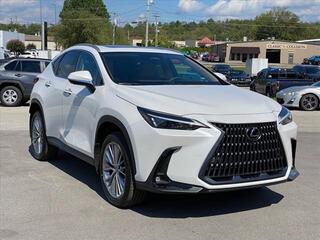 2025 Lexus NX 350 for sale in Chattanooga TN