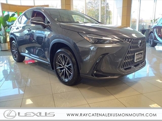 2025 Lexus NX 350 for sale in Oakhurst NJ