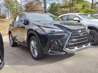 2025 Lexus NX 350 for sale in Durham NC