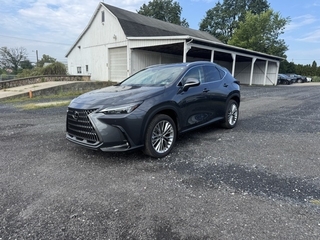 2025 Lexus NX 350 for sale in Allentown PA