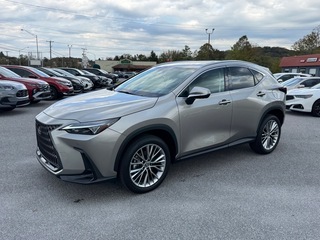 2025 Lexus NX 350 for sale in Kingsport TN