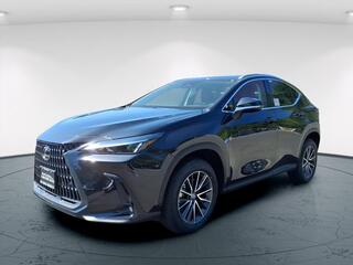2025 Lexus NX 350 for sale in Freehold NJ