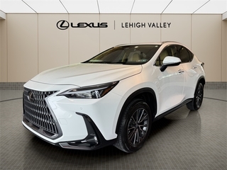2026 Lexus NX 350 for sale in Allentown PA