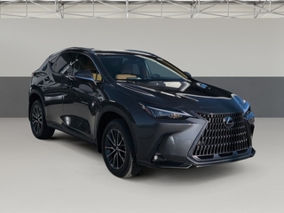 2026 Lexus NX 350 for sale in Chattanooga TN
