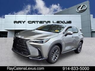 2023 Lexus NX 350 for sale in Larchmont NY