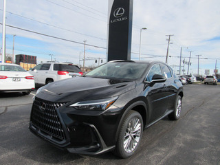 2023 Lexus NX 350 for sale in Toledo OH