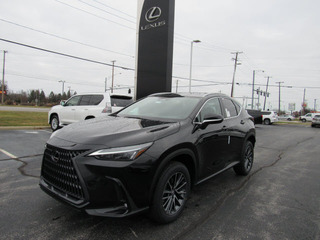 2023 Lexus NX 350 for sale in Toledo OH