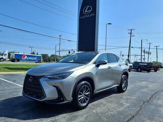 2023 Lexus NX 350 for sale in Toledo OH