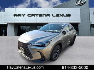 2023 Lexus NX 350 for sale in Larchmont NY