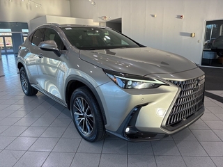 2023 Lexus NX 350 for sale in Durham NC