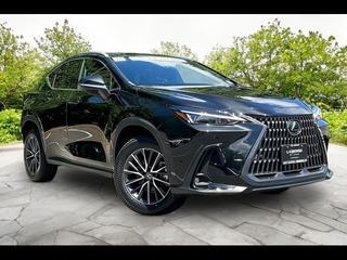 2024 Lexus NX 350 for sale in Freehold NJ