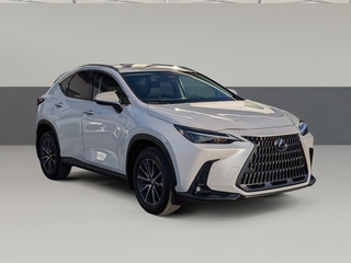 2024 Lexus NX 350 for sale in Chattanooga TN