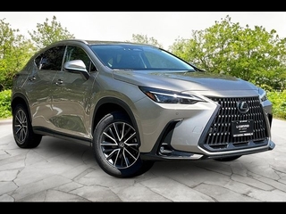 2024 Lexus NX 350 for sale in Freehold NJ