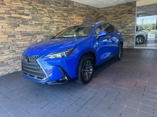 2025 Lexus NX 350 for sale in Allentown PA