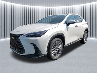 2025 Lexus NX 350 for sale in Schaumburg IL