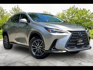 2025 Lexus NX 350 for sale in Freehold NJ