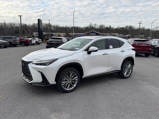 2025 Lexus NX 350 for sale in Kingsport TN