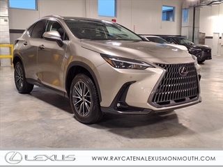 2025 Lexus NX 350 for sale in Oakhurst NJ