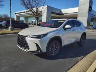 2025 Lexus NX 350 for sale in Brentwood TN