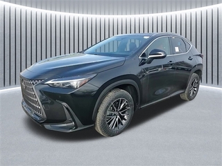 2025 Lexus NX 350 for sale in Schaumburg IL