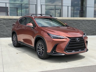 2025 Lexus NX 350 for sale in Chattanooga TN