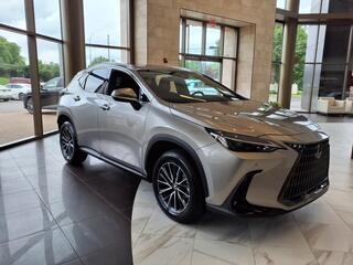 2025 Lexus NX 350 for sale in Nashville TN