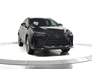 2025 Lexus NX 350 for sale in Schaumburg IL